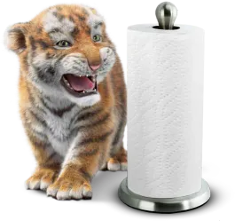 Paper Towel