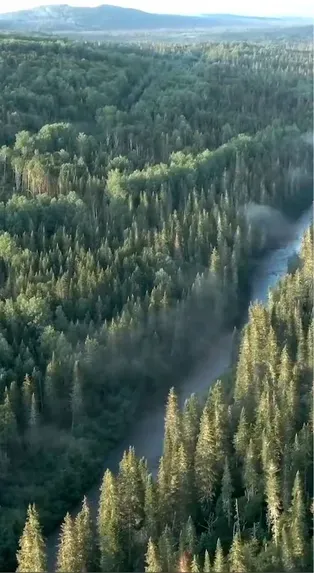 1 Billion Trees Planted