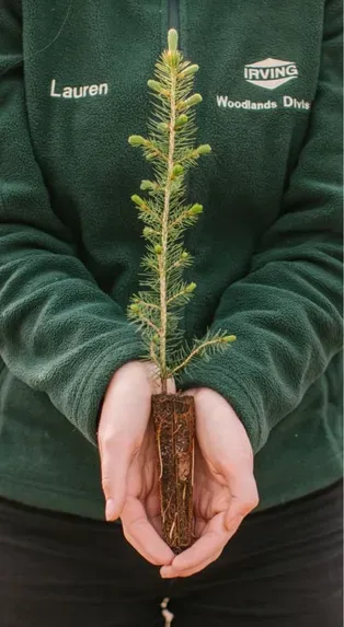 Unique Areas Program