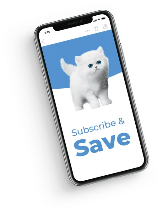 Cellphone with a cat