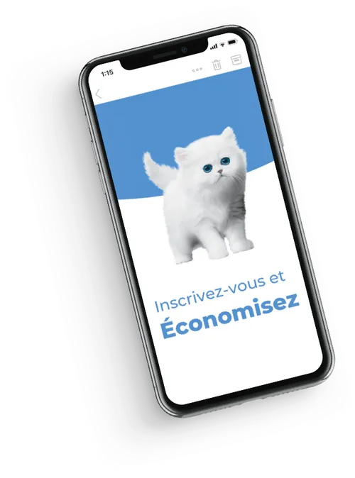 Cellphone with a cat