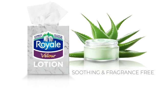 facial.velour_lotion.title