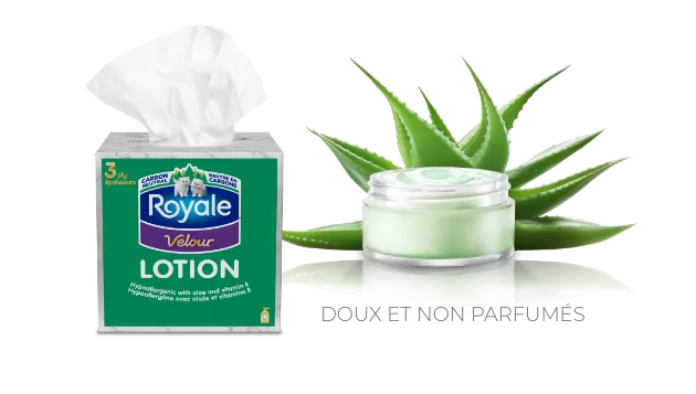 facial.velour_lotion.title