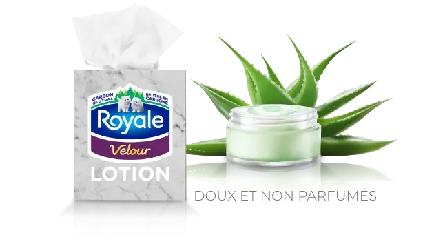 facial.velour_lotion.title