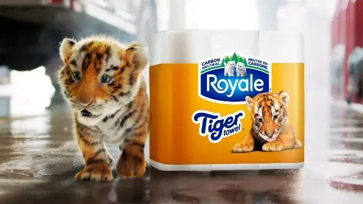 Tiger Towel Pack