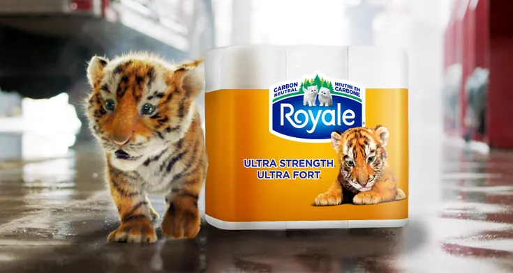 Tiger Towel Pack