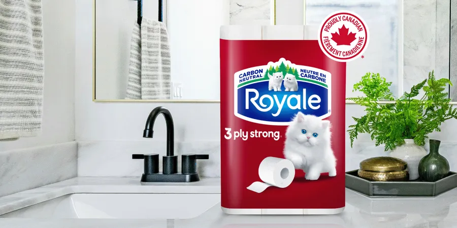 bathroom.3_ply.title
