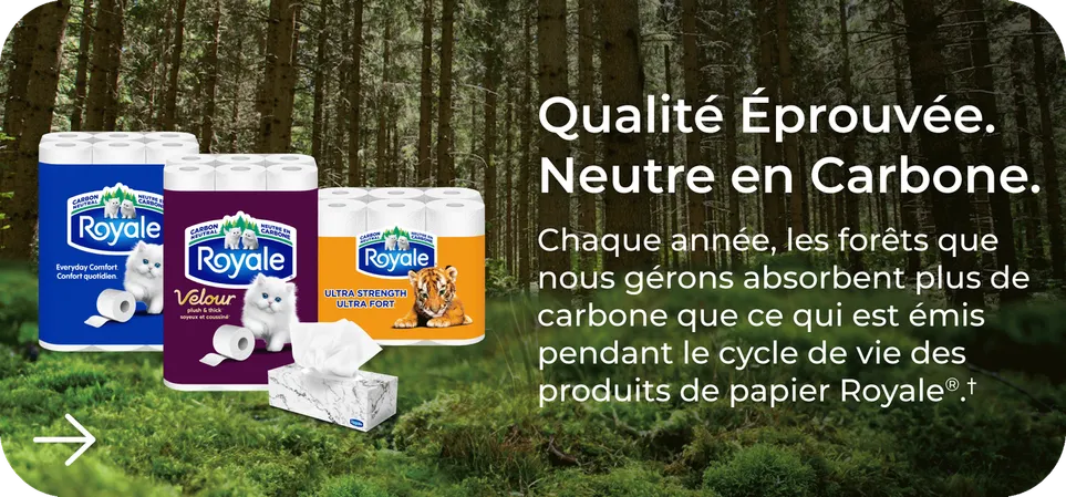 Carbon Neutral