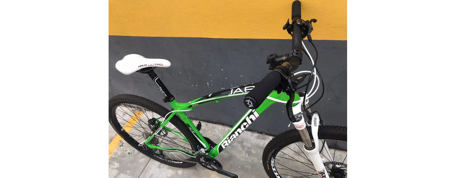 Bicicletas bianchi sales rodado 29