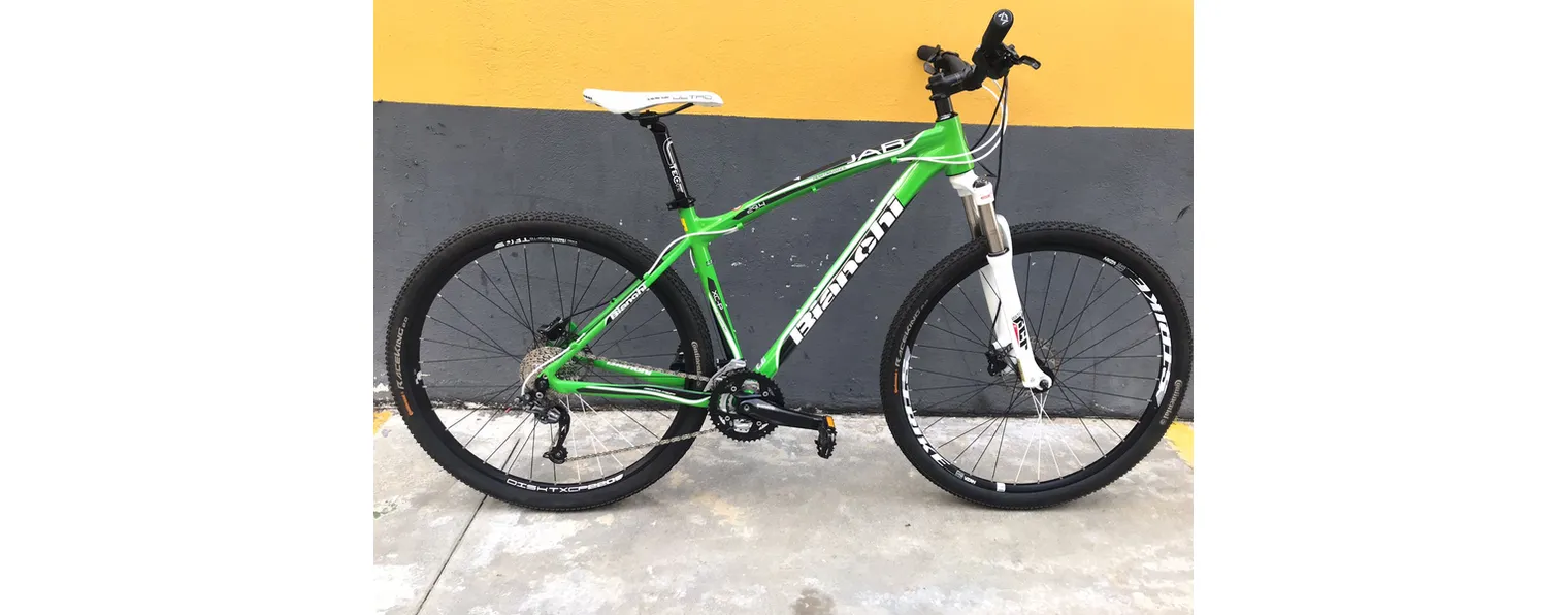 Bicicletas bianchi sales rodado 29