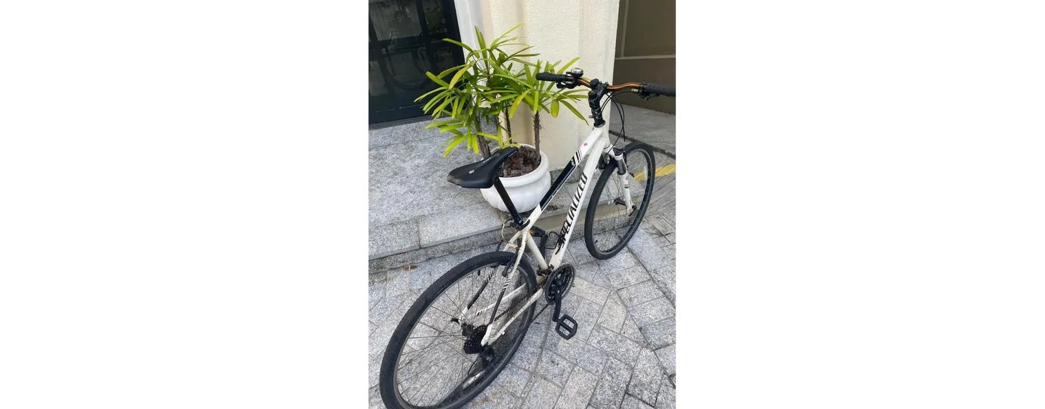 Specialized ariel 2014 sale
