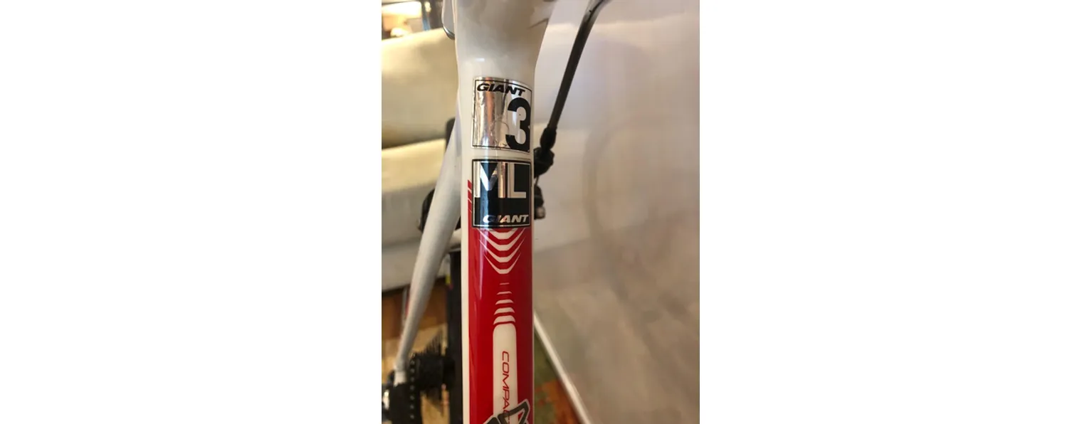 Giant tcr store 3 2014