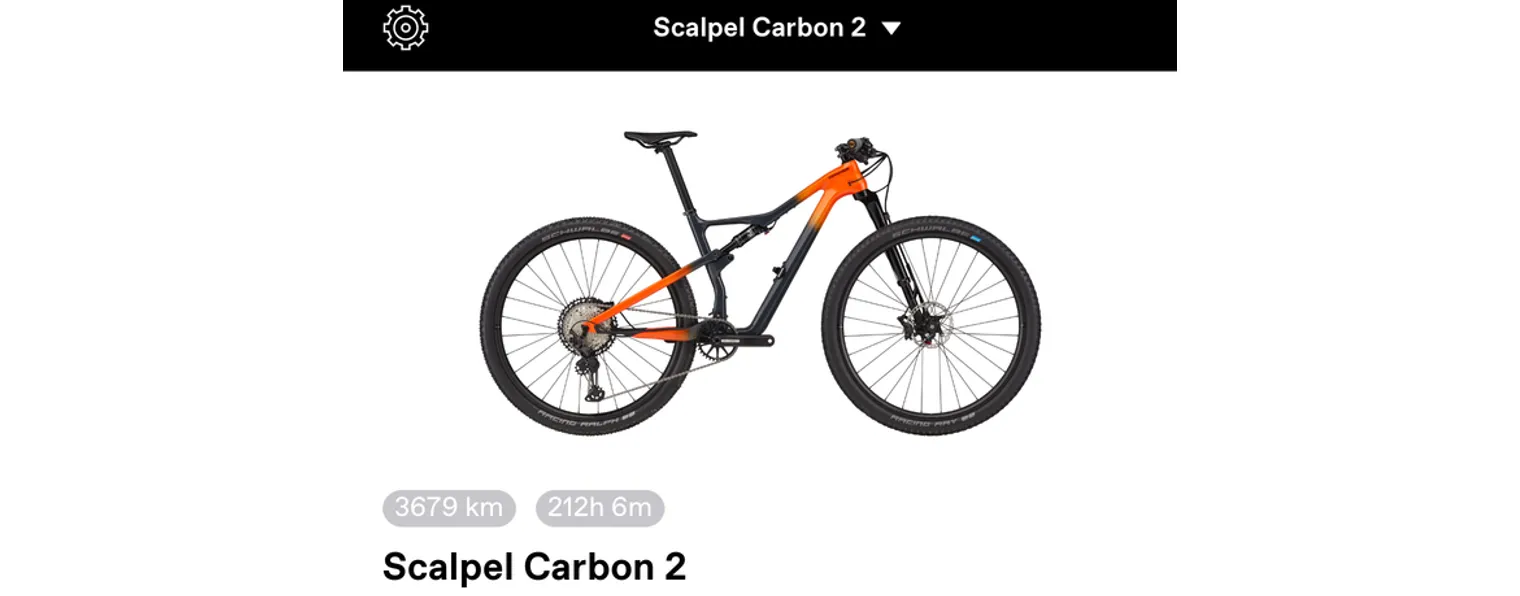 Semexe Cannondale Adventure 2 2020