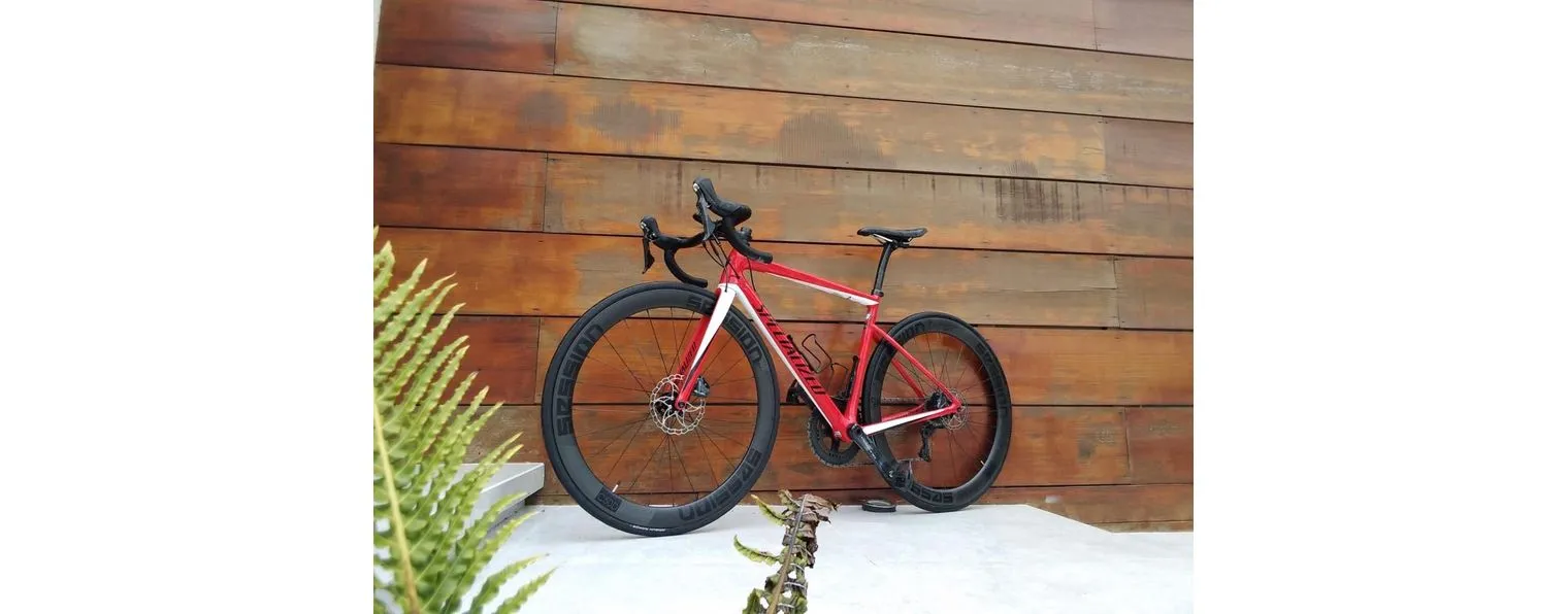 Specialized tarmac disc sport men's outlet road bike 2019