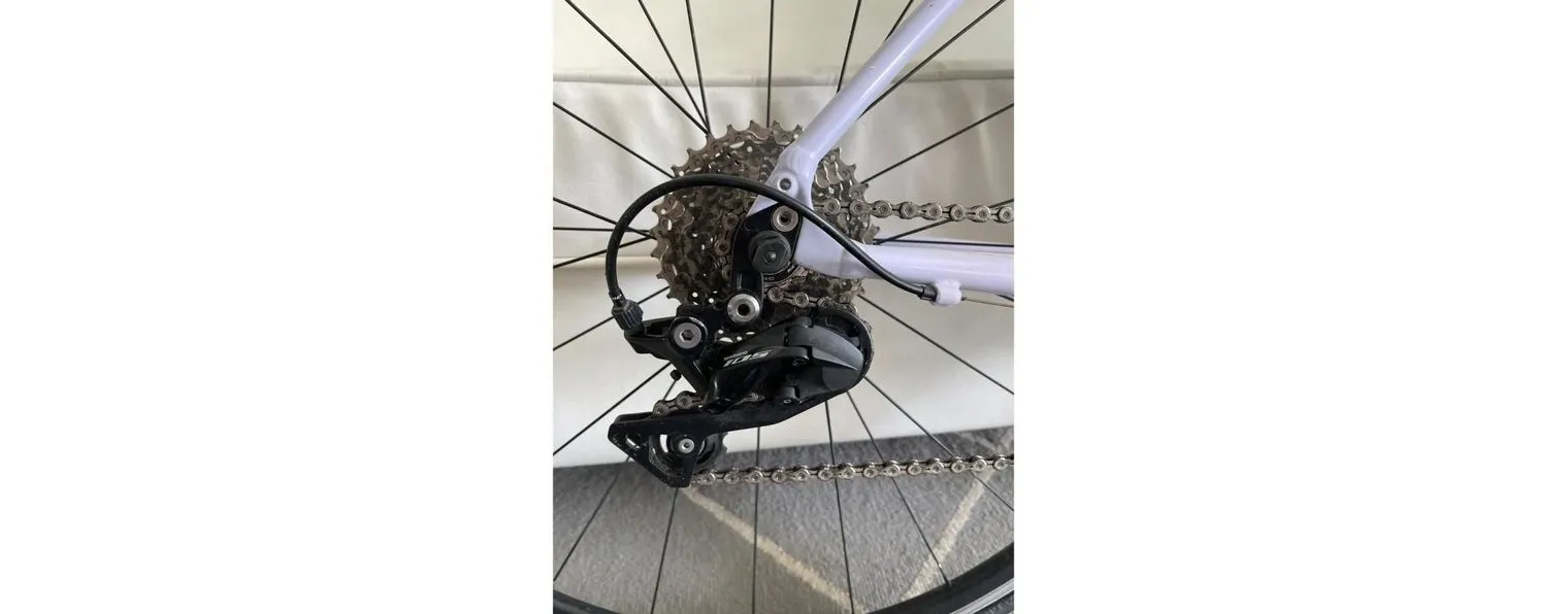 Specialized dolce elite 2019 sale