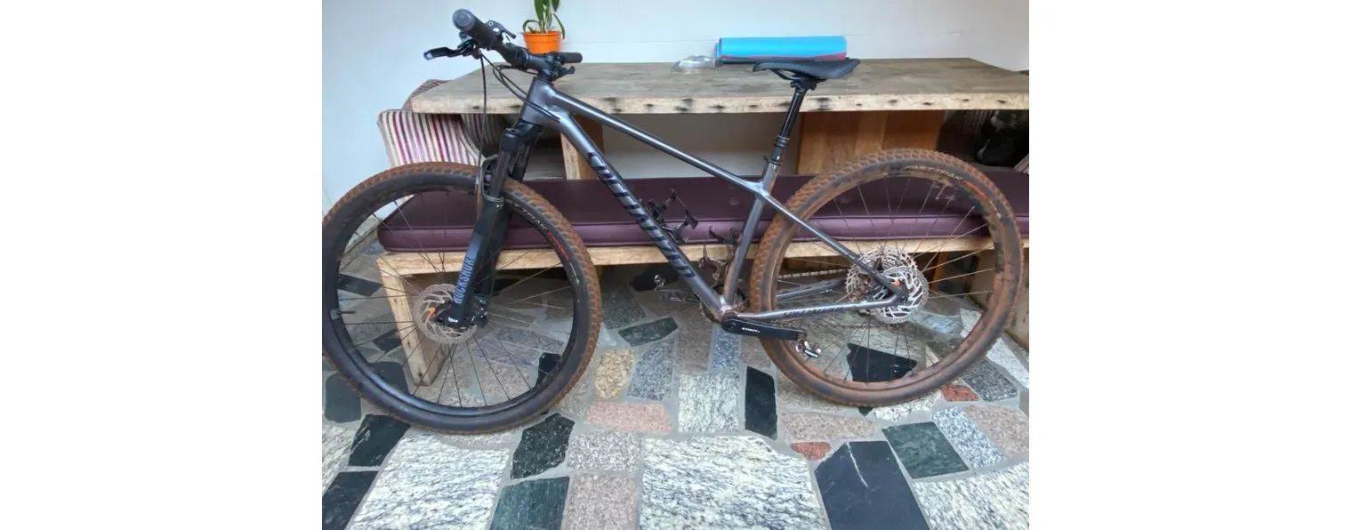 Nova specialized chisel clearance 2021