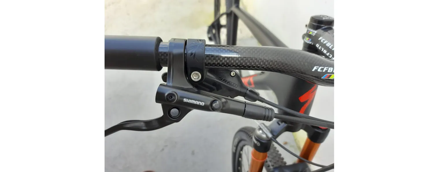 Bxt carbono 2025