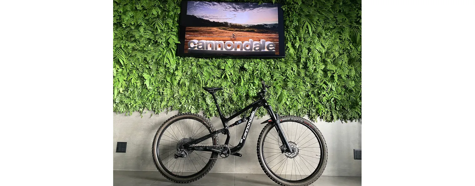 Cannondale habit 2024 6 2021