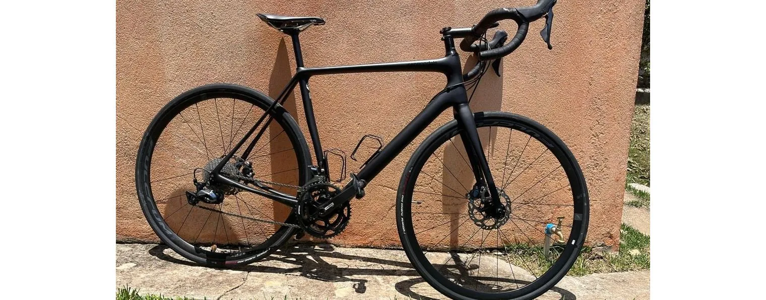 Synapse carbon disc on sale ultegra 2021