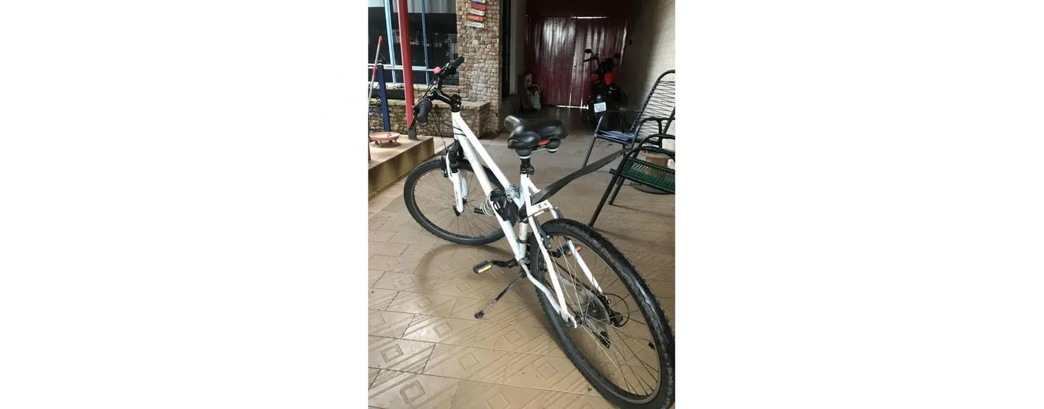 Gt avalanche sport 2020 deals