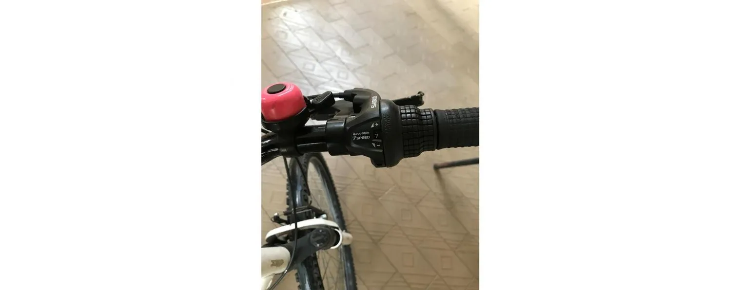 2020 gt avalanche sport online