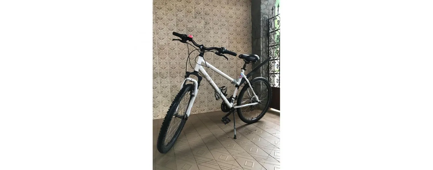 Gt avalanche sport 2020 deals
