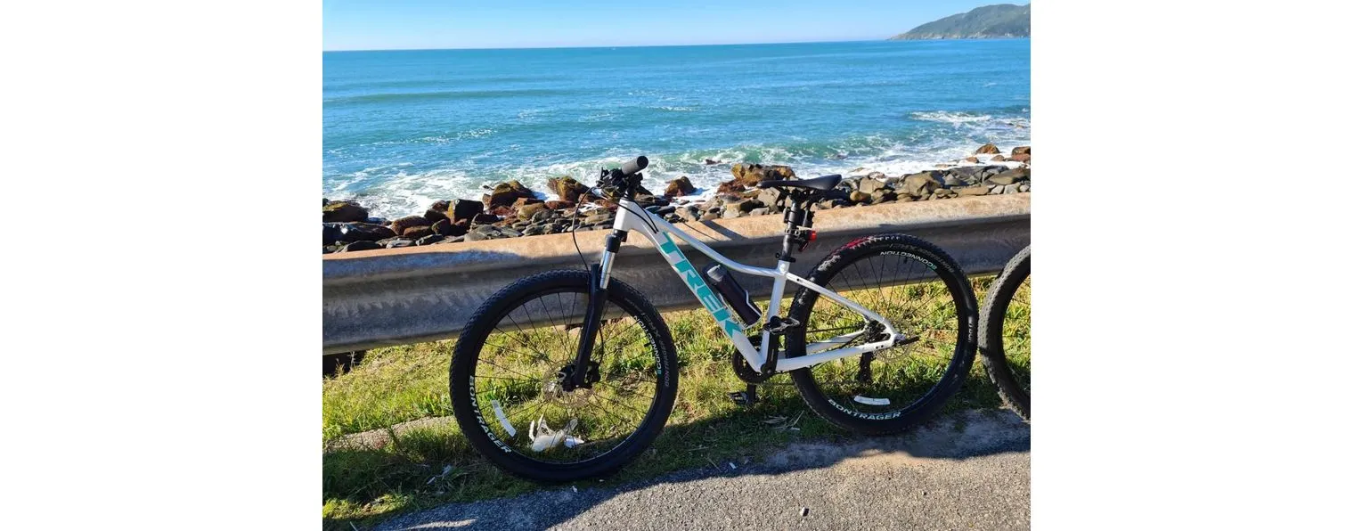 Trek marlin hotsell 5 2019 women's