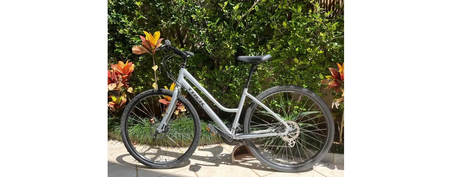 2020 trek verve 2 store