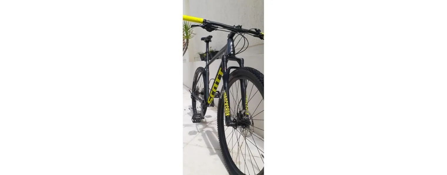 Scale 990 2019 top