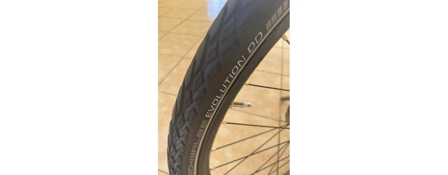 E bike trek powerfly 5 2025
