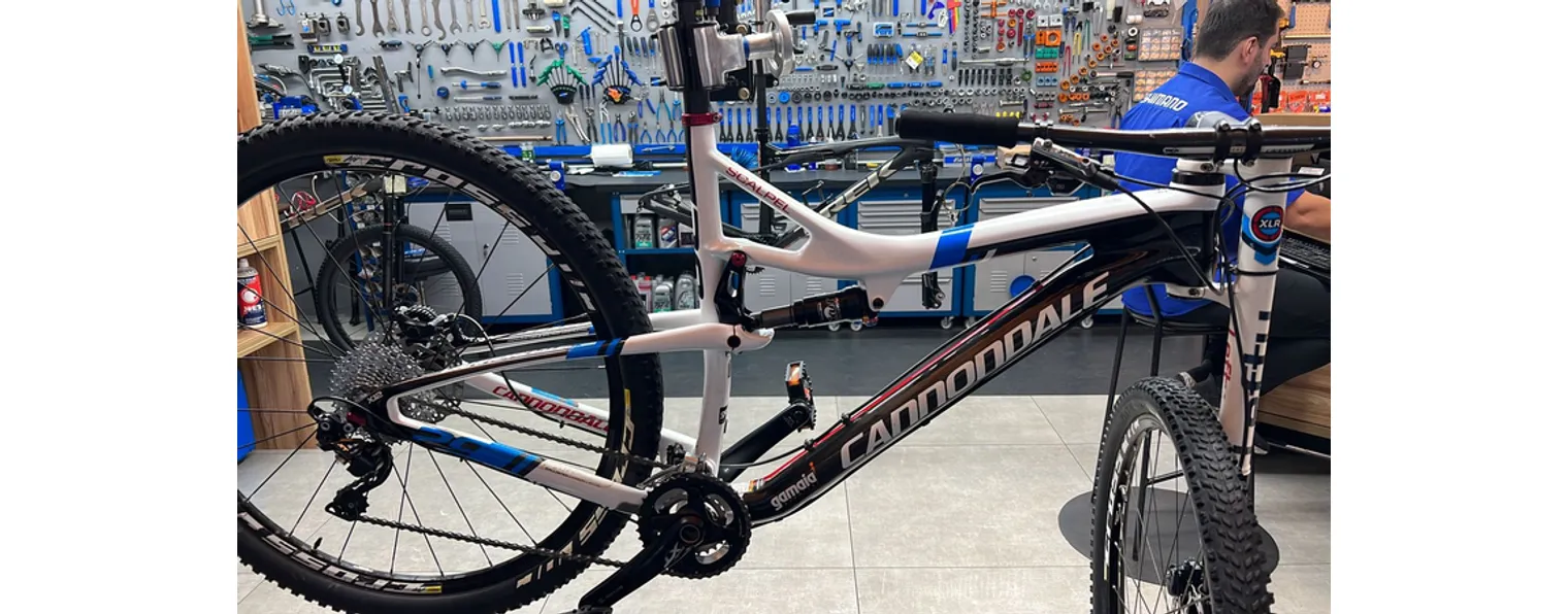 Scalpel carbon clearance 2 2015