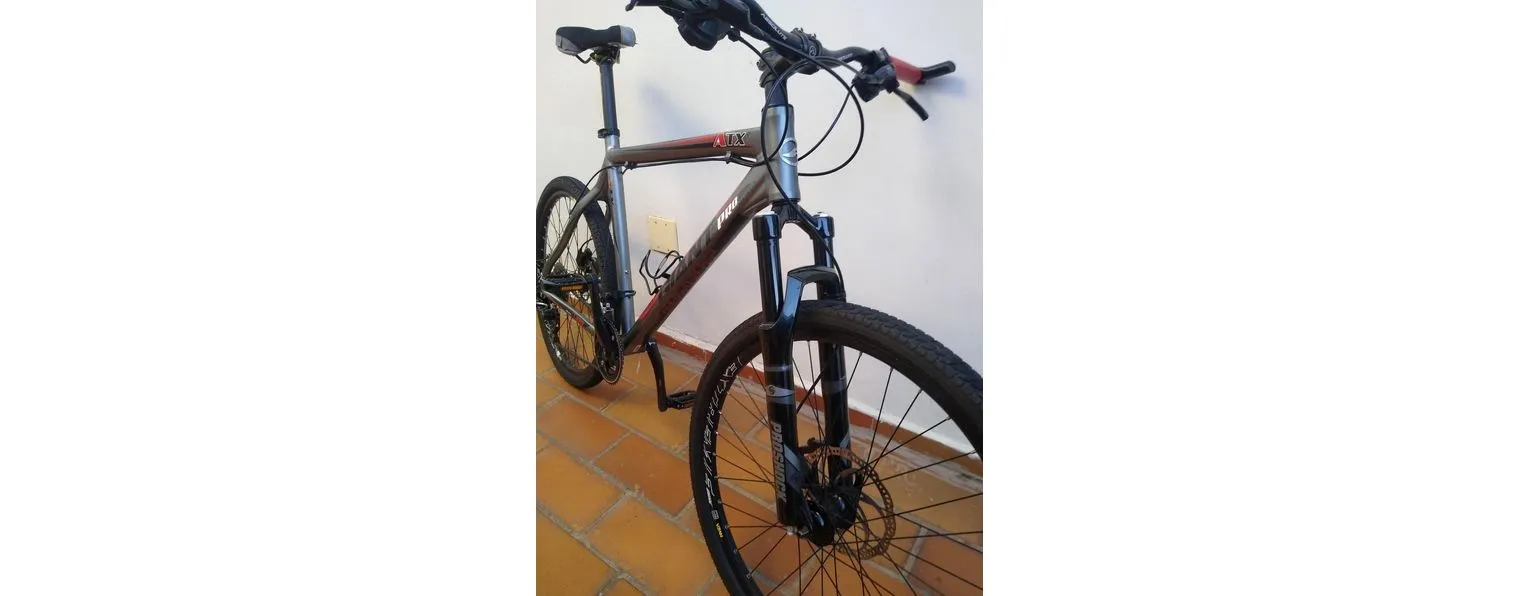 2019 giant hotsell