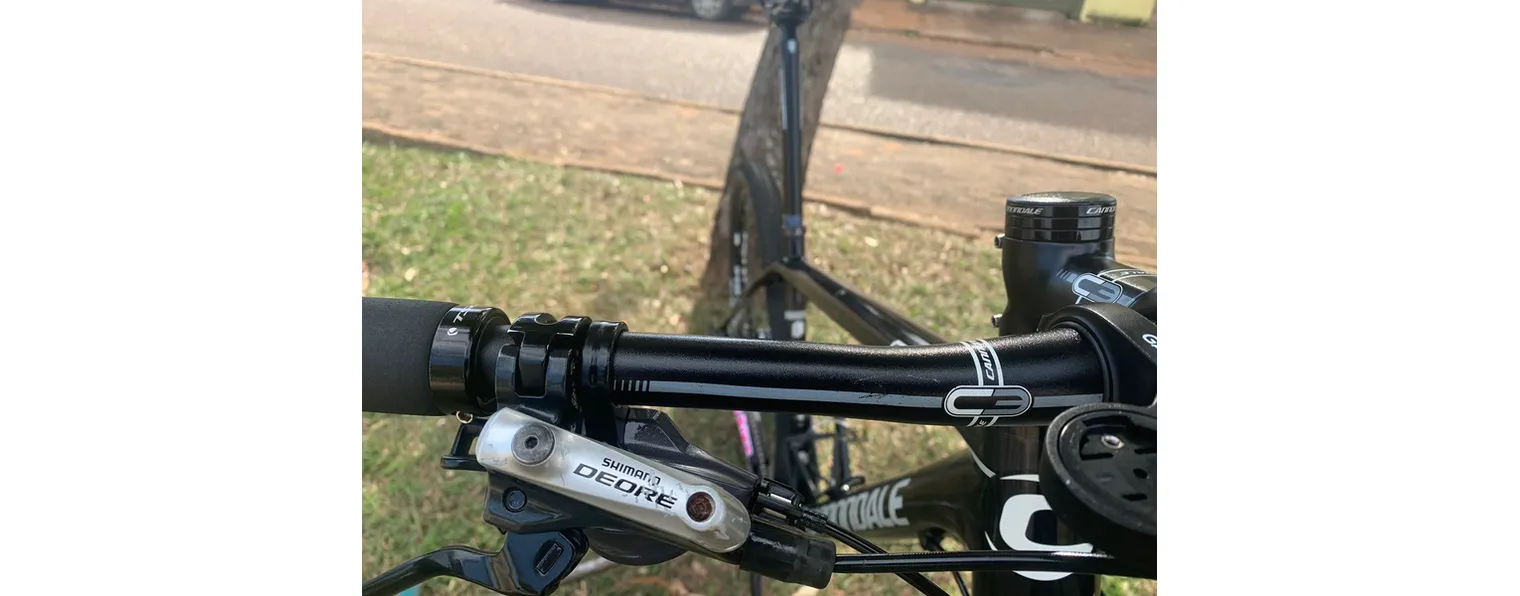 Cannondale f29 online si
