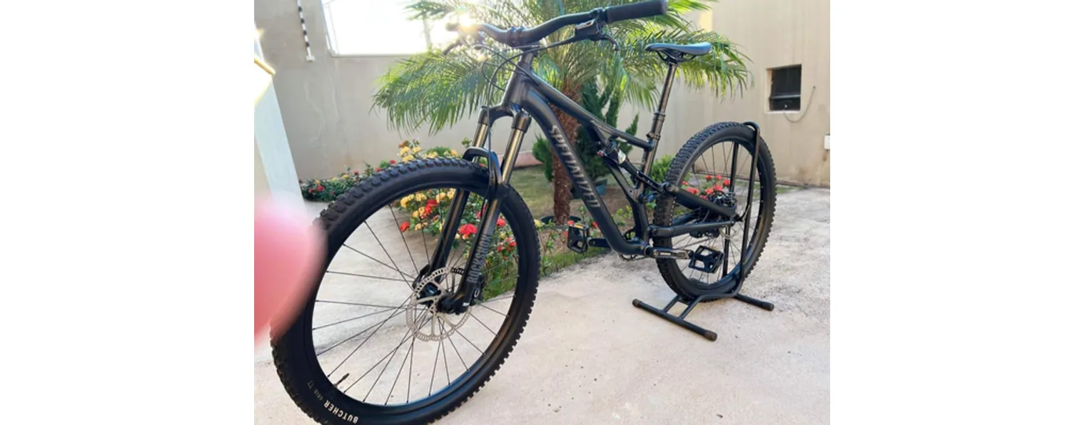 Specialized stumpjumper cheap st 29 2021