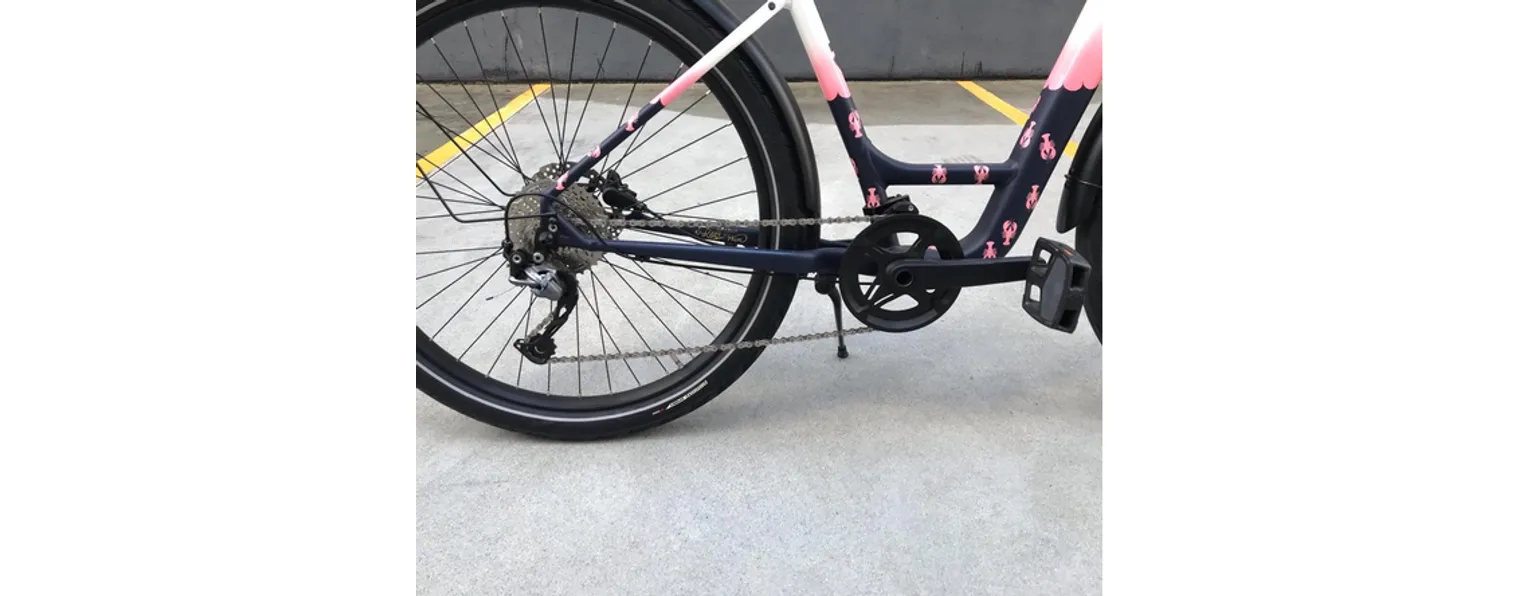 Specialized roll elite low entry 2020 deals