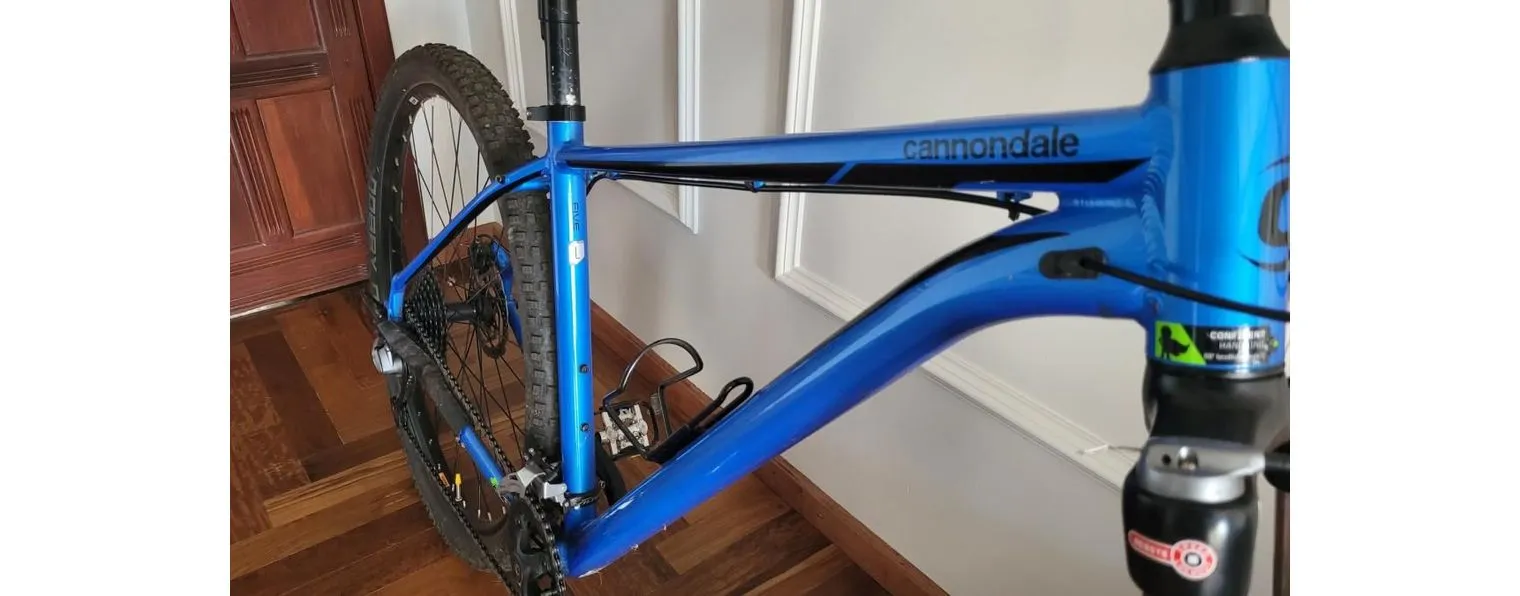 2020 cannondale top trail 5