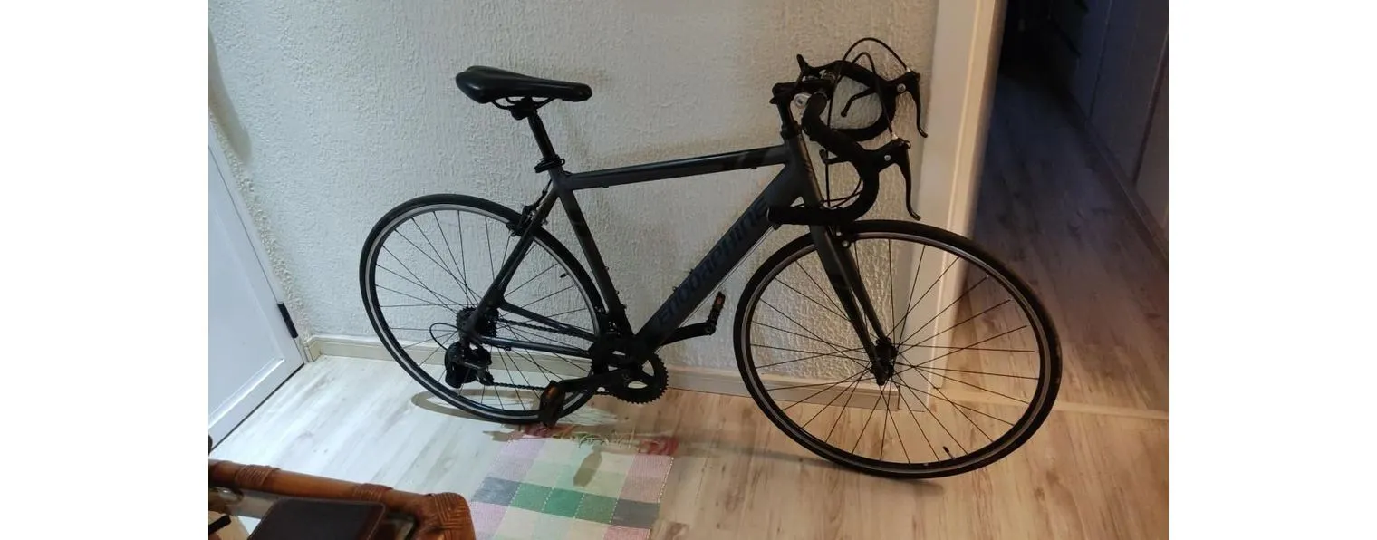 Semexe Endorphine Fast 10 2021