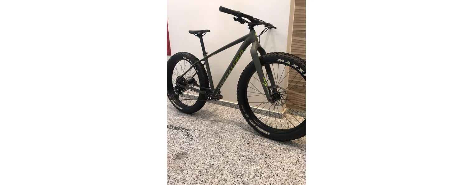 Fatboy hotsell specialized 2020
