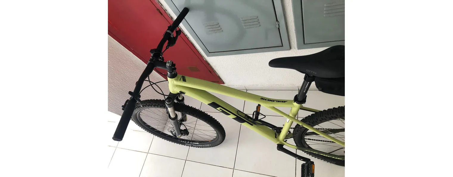 Vtt gt avalanche discount 2020