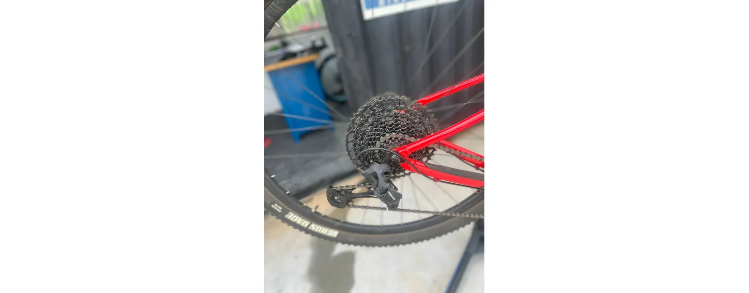 Scott scale 970 2021 discount peso