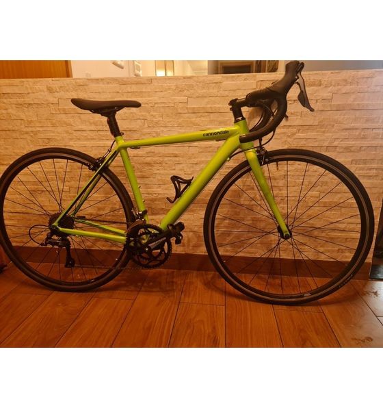 Semexe Cannondale CAAD Optimo Claris 2019