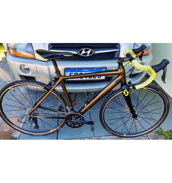 Speedster 40 2019 store