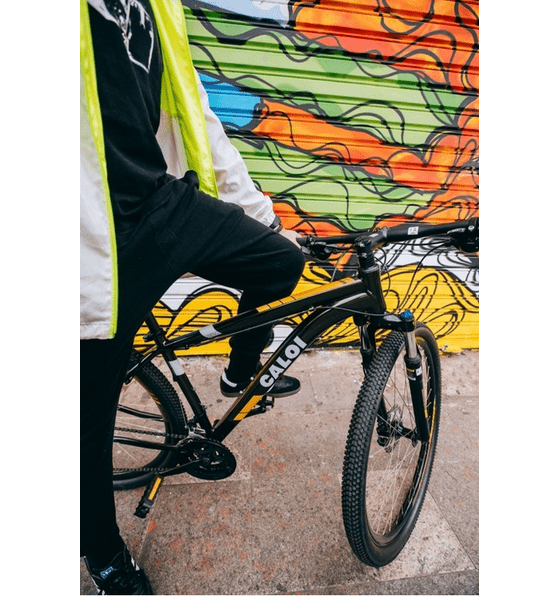 Semexe Caloi Two Niner Pro 2020