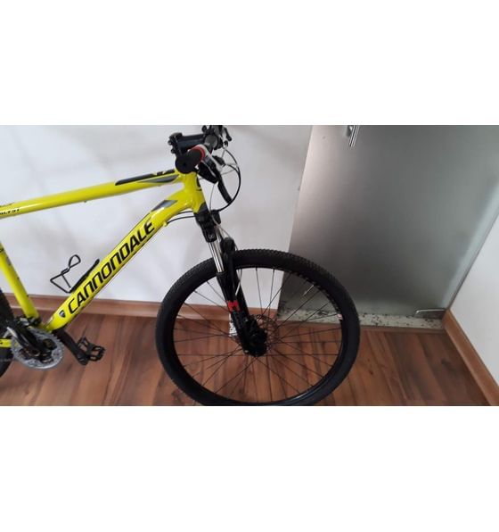 Cannondale catalyst 1 2019 hot sale
