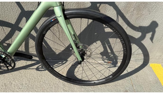 Semexe - Canyon Canyon Endurace CF 8.0 2019