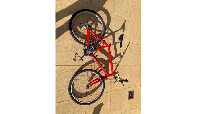 Cannondale M800 “BEAST OF THE EAST” pepperoni fork 1993