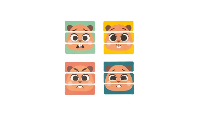 JANOD BOX - 36 MESES