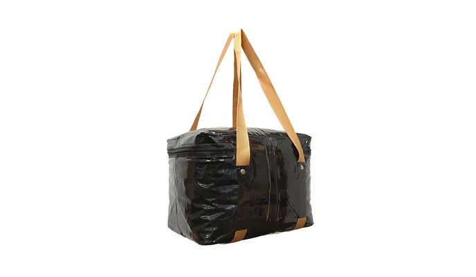 Bolsa Térmica Guepardo Casus 11L
