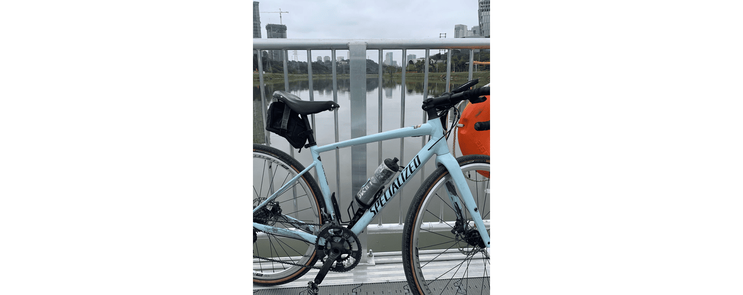 Semexe - Specialized Diverge E5 Elite 2020