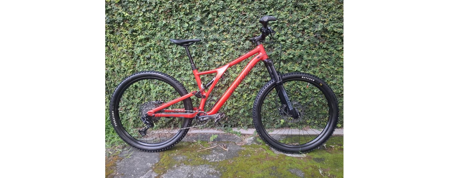 Semexe - Specialized Stumpjumper 2024